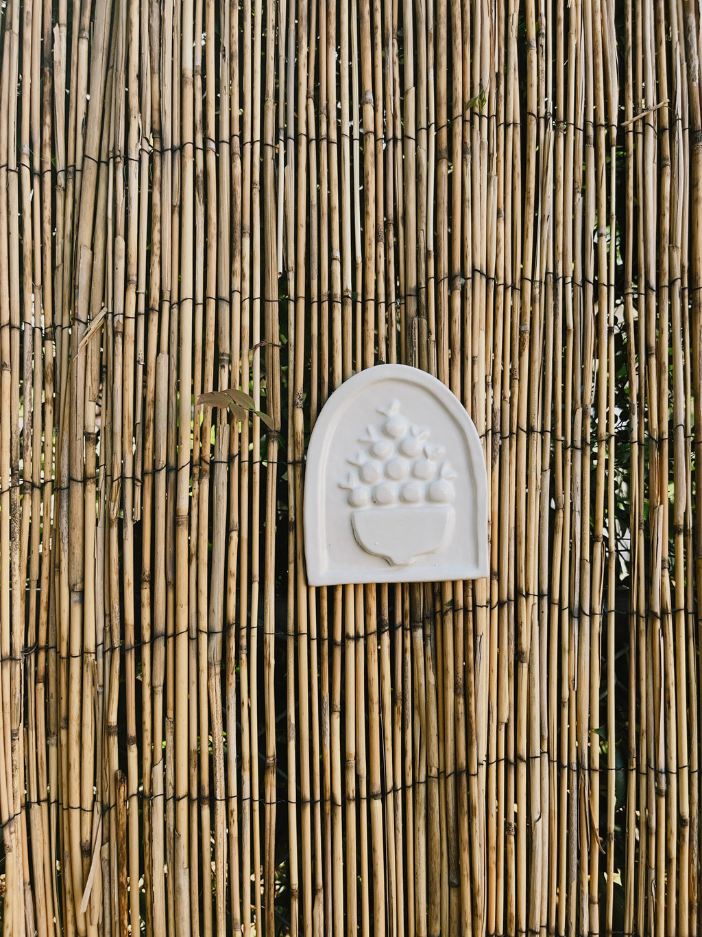 The Still Life Arch - Small