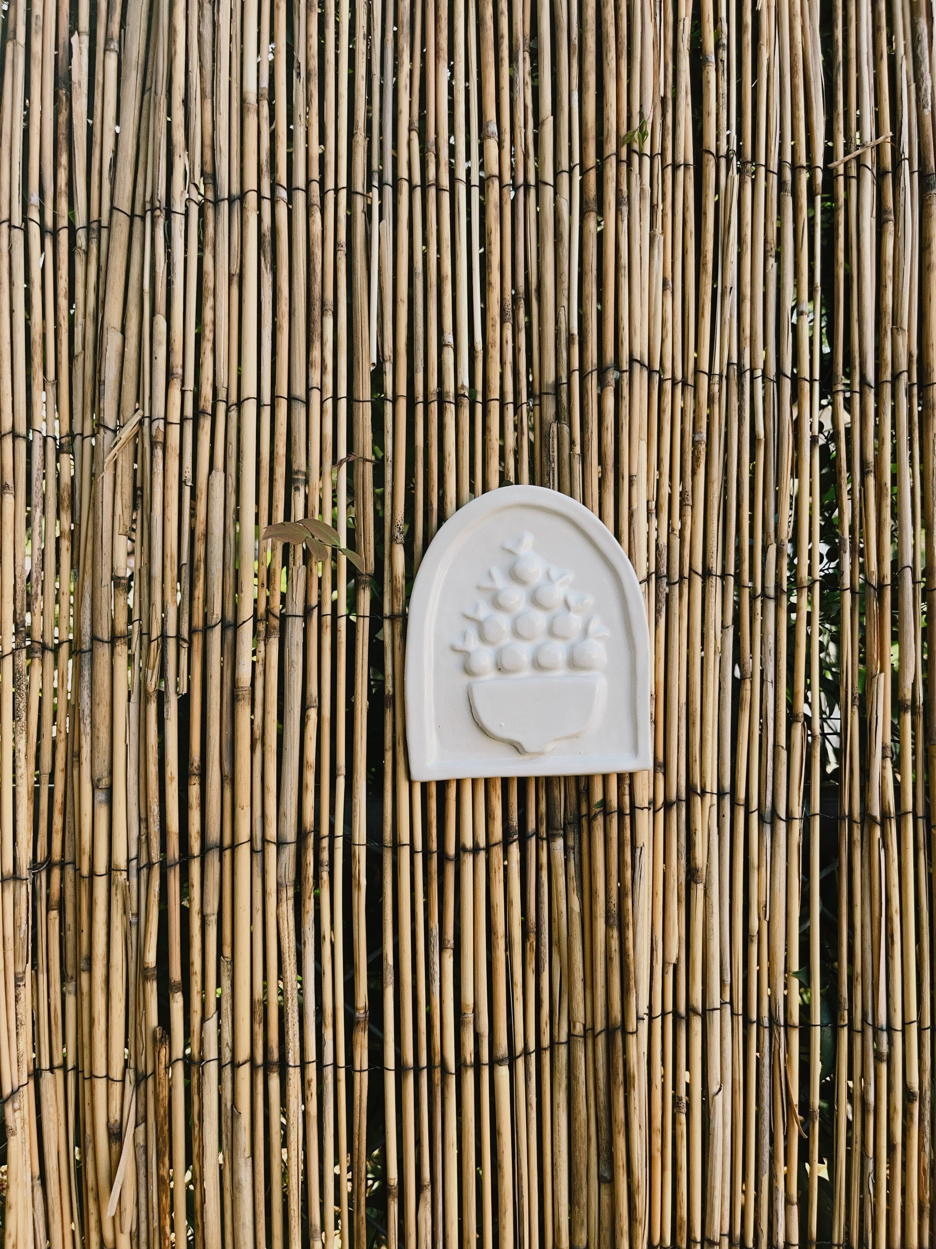 The Still Life Arch - Small